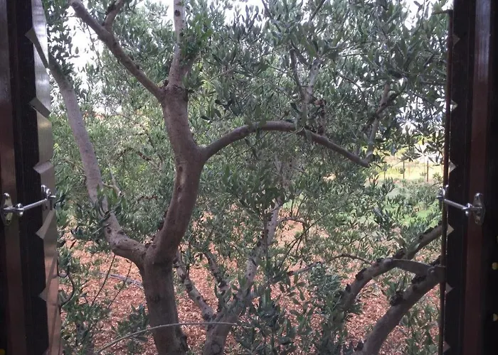 Vakantiehuis Little Sweet Stone House For 4, Seget, 20m To The *