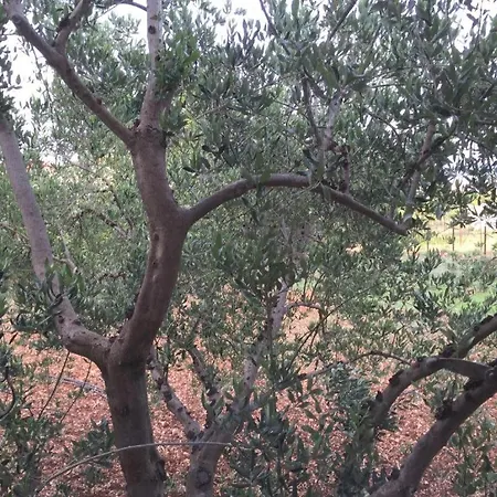 펜션 Little Sweet Stone House For 4, Seget, 20m To The *